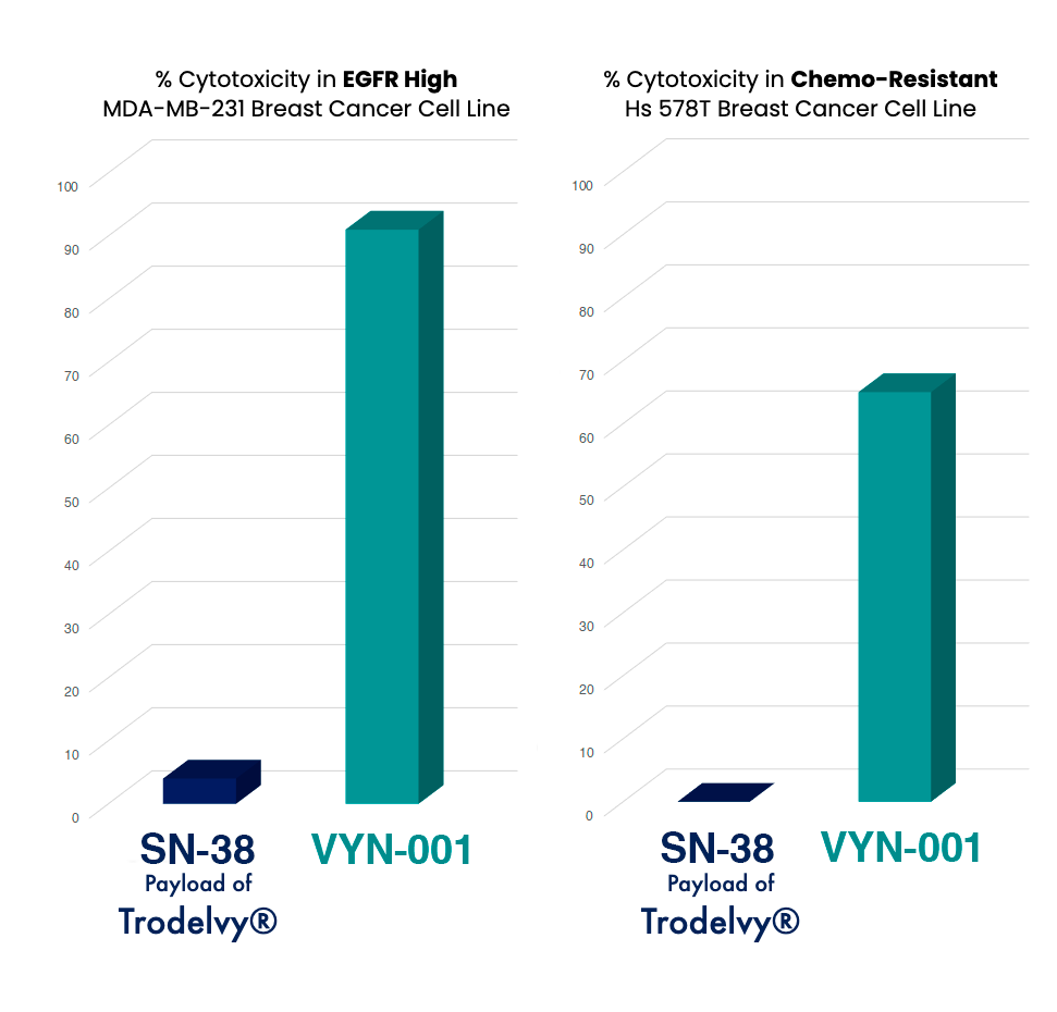 Bar charts comparing percent cytotoxicity of VYN-001 versus SN-38, the payload of Trodelvy, in EGFR-high MDA-MB-231 and chemo-resistant Hs 578T breast cancer cell lines